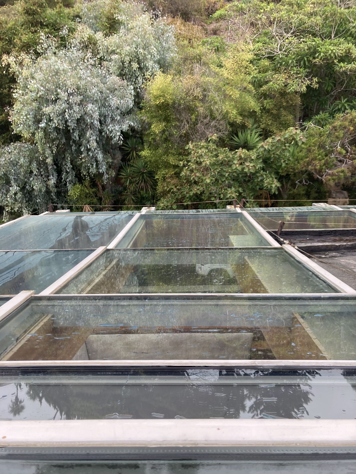 GoodDay window cleaning job